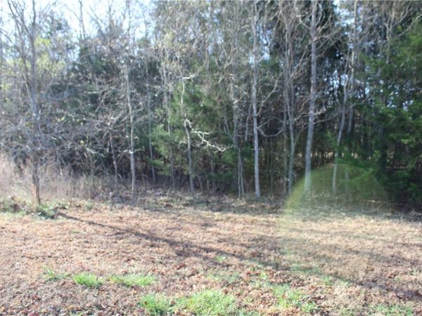 761-00013-000 Falltime Drive, Bull Shoals, AR 72619