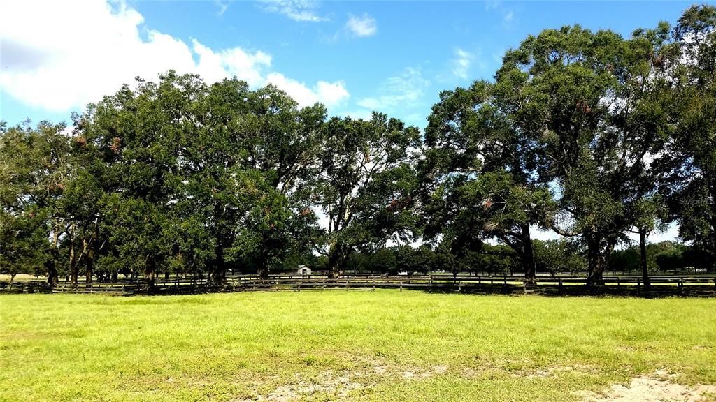 3570 NW 63rd Street, Ocala, FL 34475 Photo