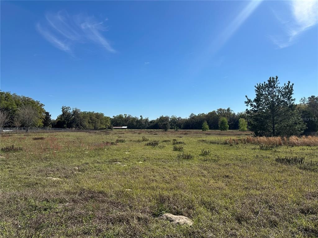 6910 SE Highway 42, Summerfield, FL 34491 Photo