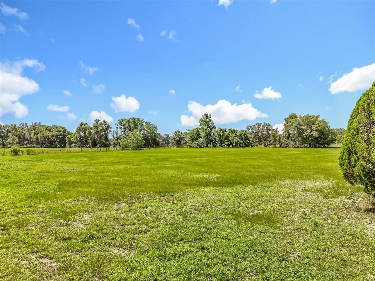 41204 Emeralda Island Road, Leesburg, FL 34788 Photo