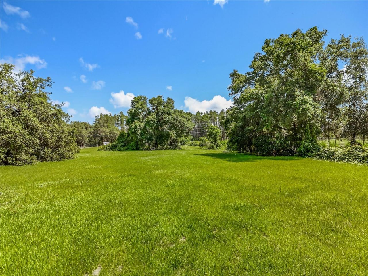 41204 Emeralda Island Road, Leesburg, FL 34788 Photo