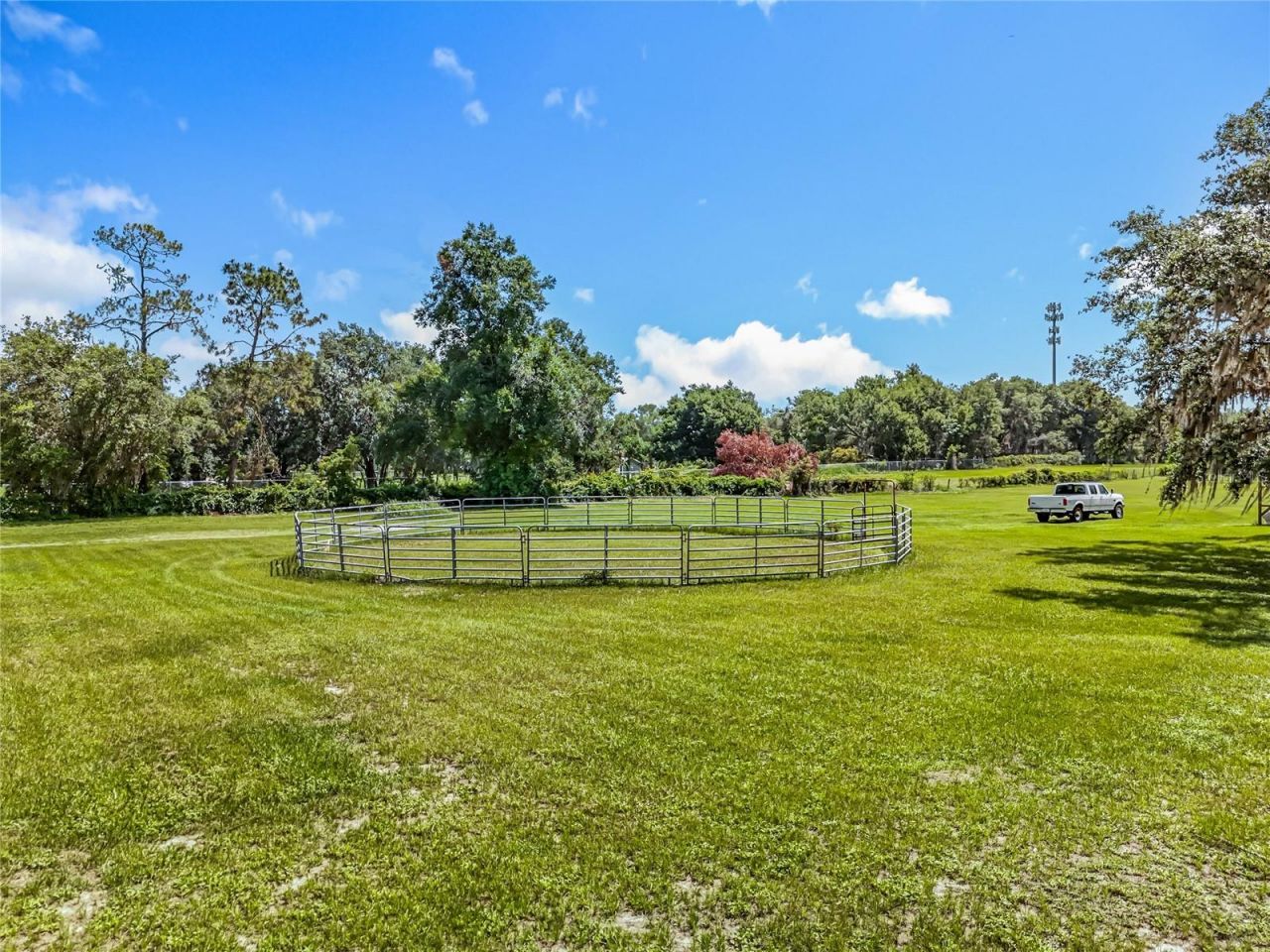 41204 Emeralda Island Road, Leesburg, FL 34788 Photo