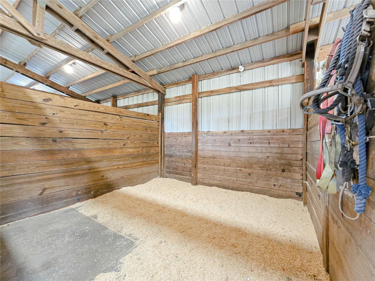 41204 Emeralda Island Road, Leesburg, FL 34788 Photo