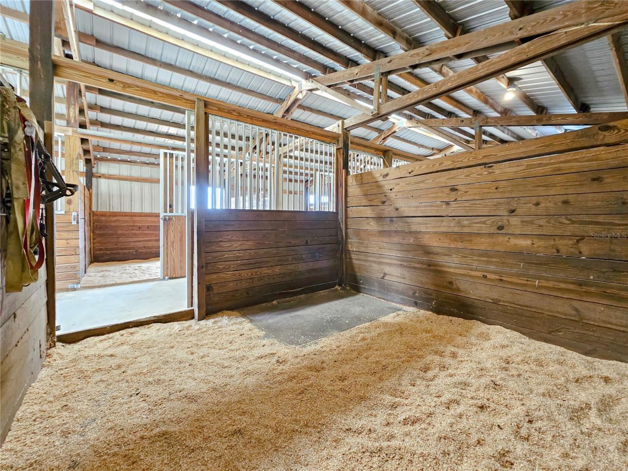 41204 Emeralda Island Road, Leesburg, FL 34788 Photo