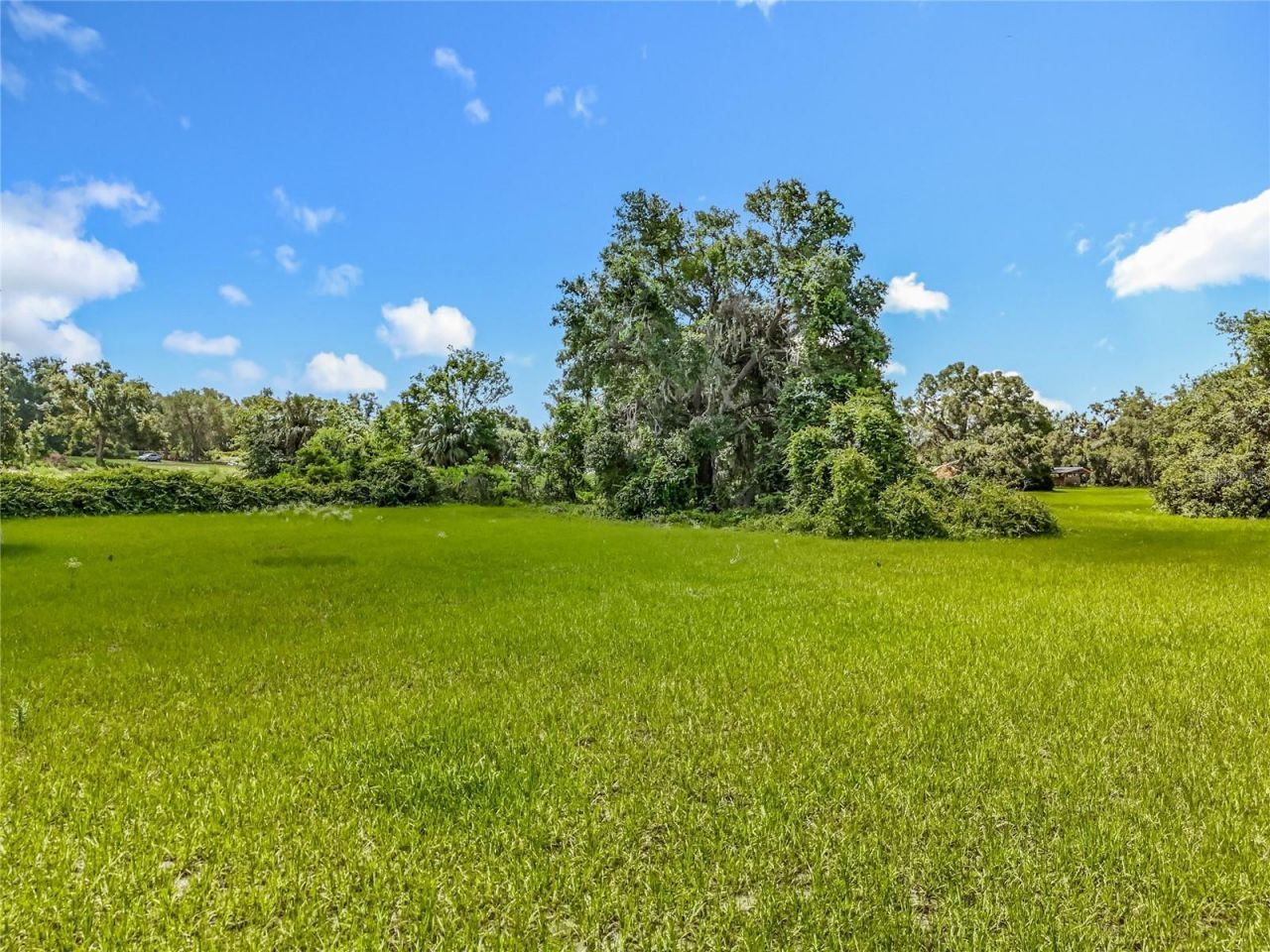 41204 Emeralda Island Road, Leesburg, FL 34788 Photo