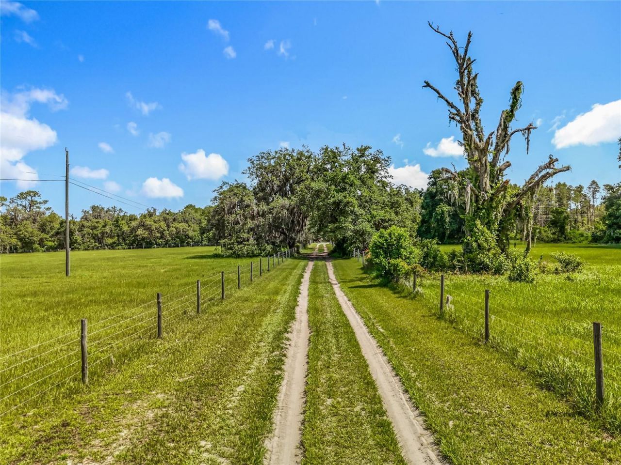 41204 Emeralda Island Road, Leesburg, FL 34788 Photo