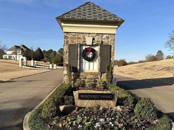 175 MONTEREY FARMS CV, Unincorporated, TN 38017
