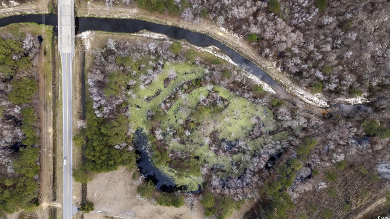 8224 S Highway 905 Photo 12