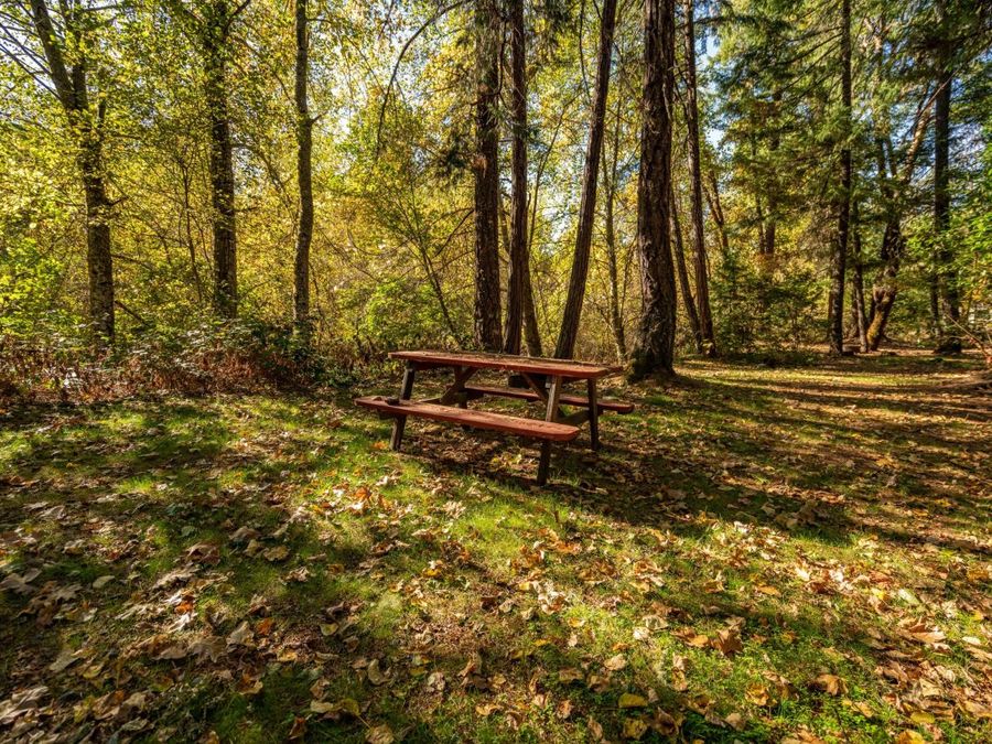 Property Image 70