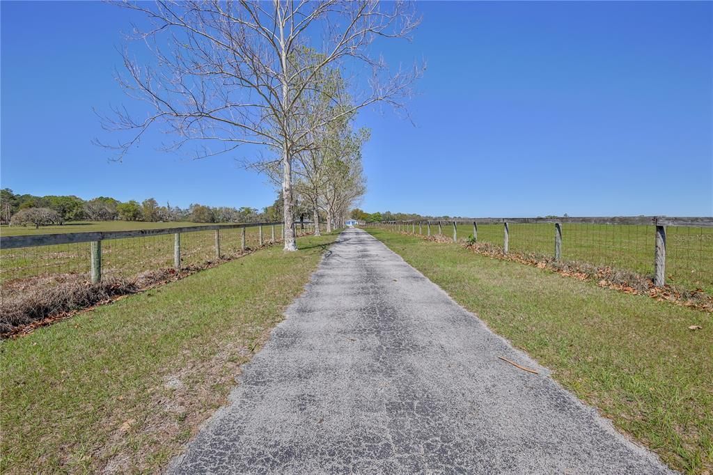 13496 S Oakview Avenue, Floral City, FL 34436 Photo