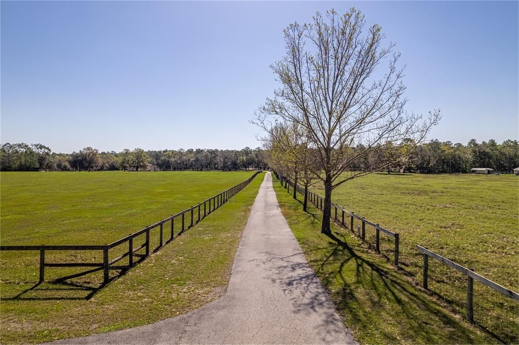 13496 S Oakview Avenue, Floral City, FL 34436 Photo