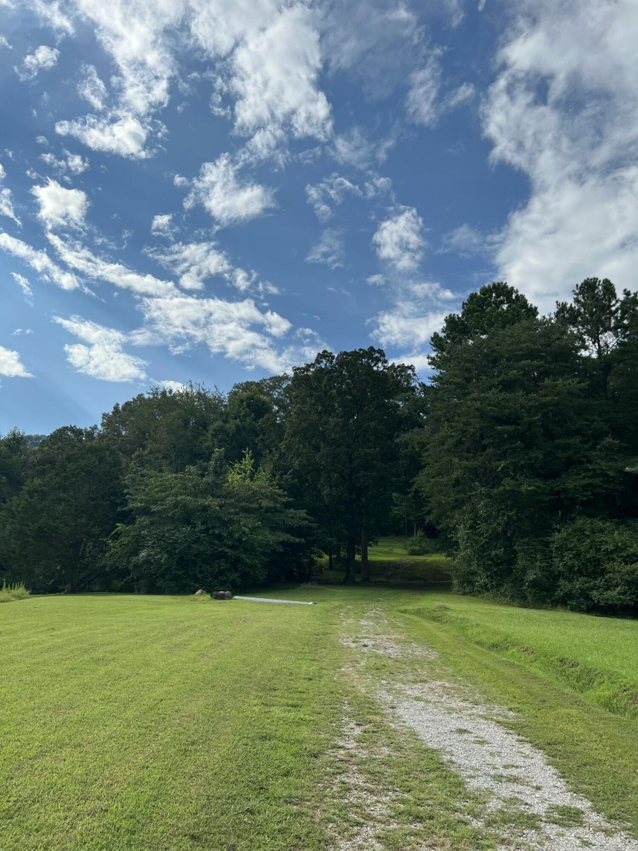 9019 Springfield Road, Soddy Daisy, TN 37379 Main Photo