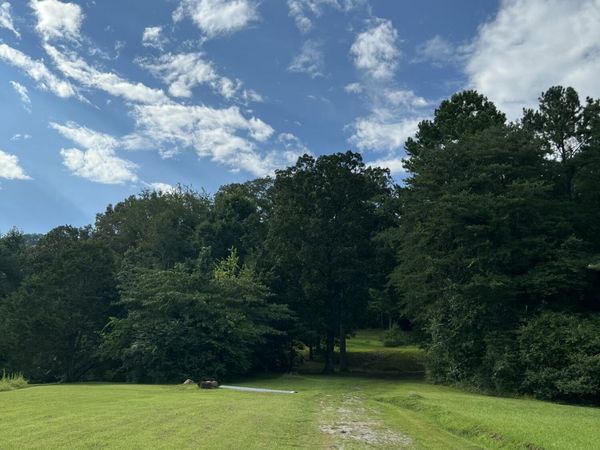 9019 Springfield Road, Soddy Daisy, TN 37379