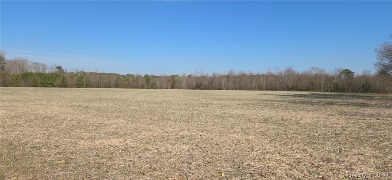 0 Taylorsville Road, Shacklefords, VA 23156 Main Photo