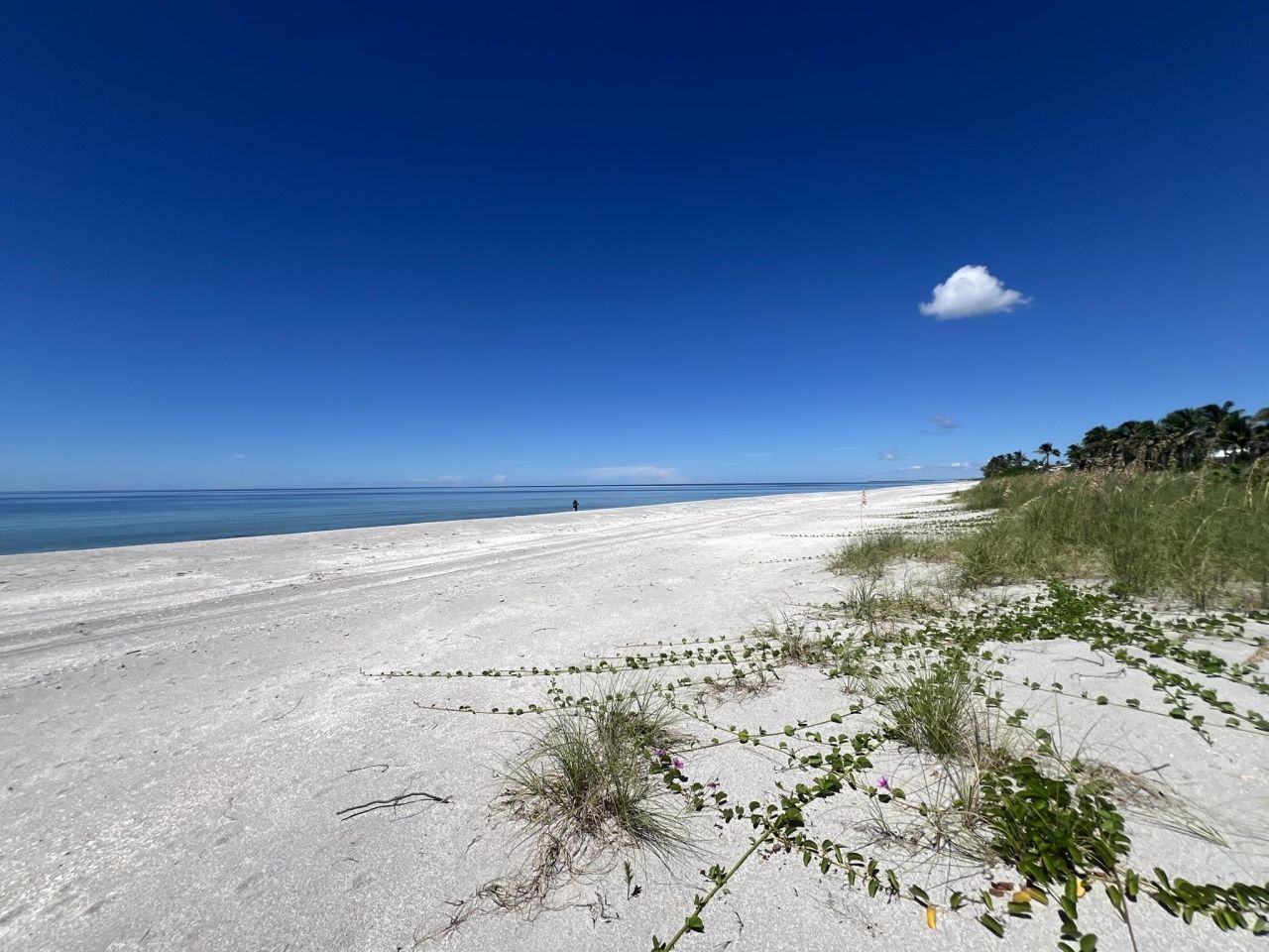 3015 W Gulf Dr, Unit 102, Sanibel, FL 33957 Photo