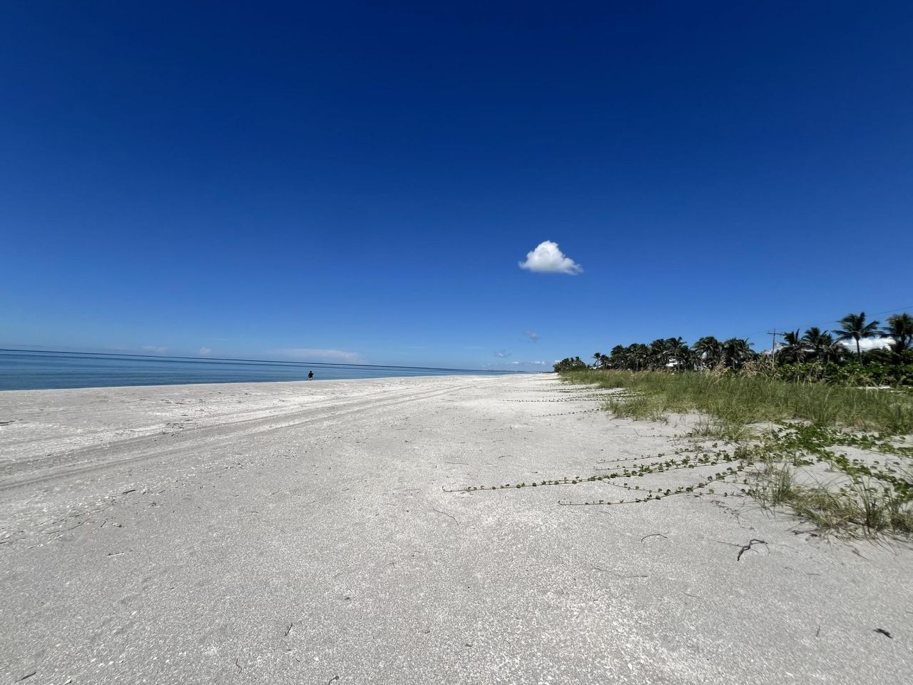3015 W Gulf Dr, Unit 102, Sanibel, FL 33957 Photo