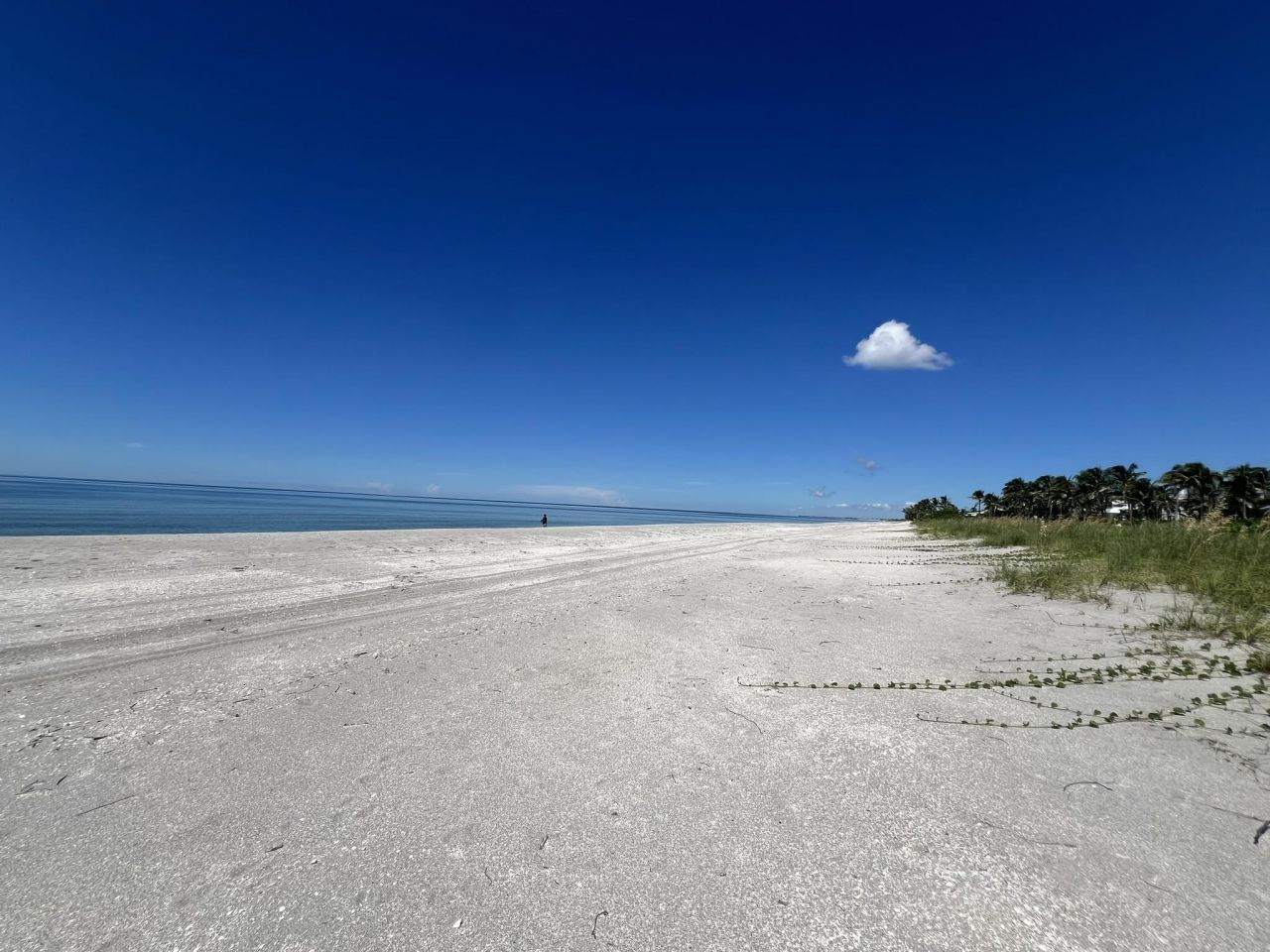 3015 W Gulf Dr, Unit 102, Sanibel, FL 33957 Photo