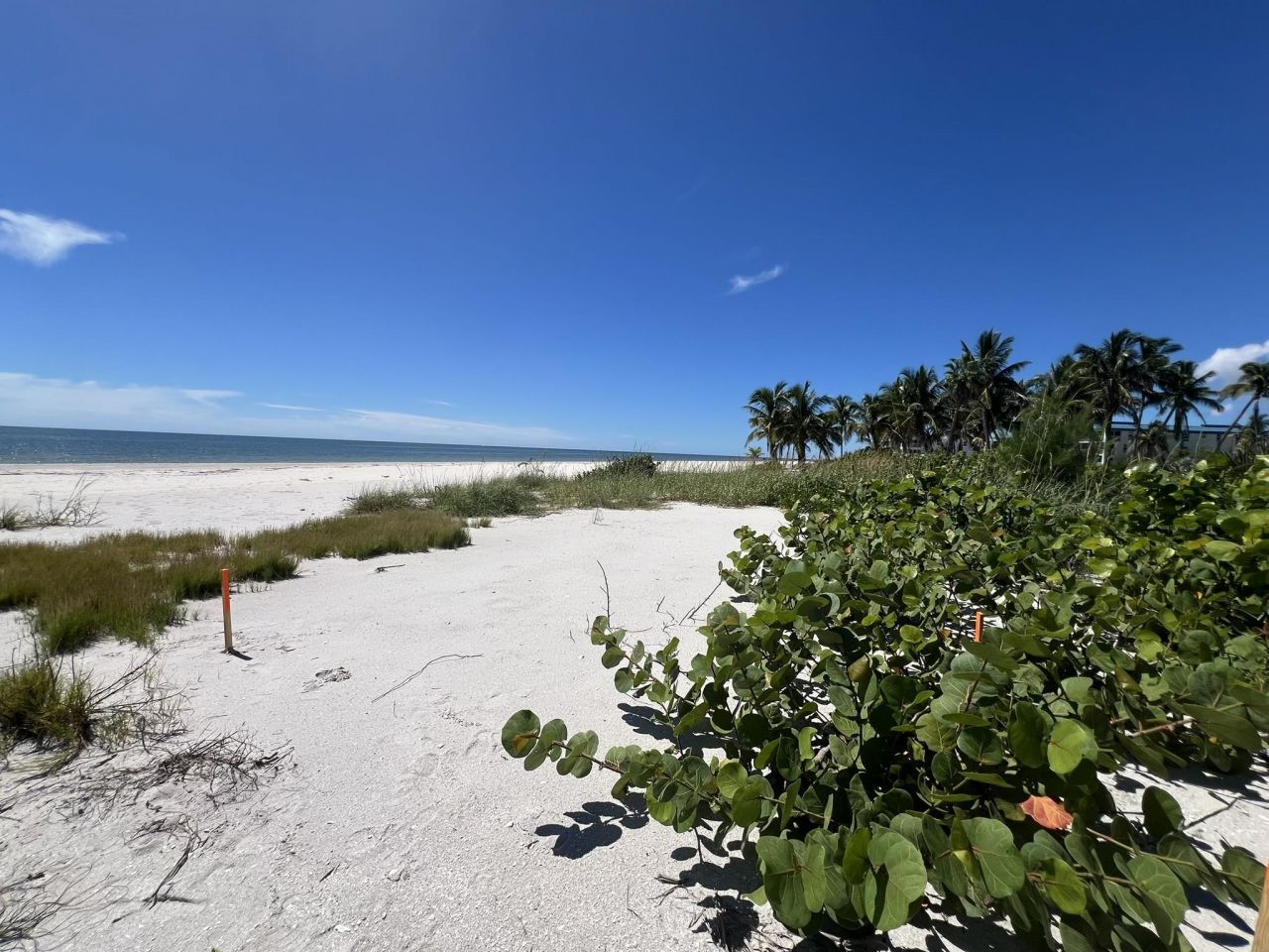 3015 W Gulf Dr, Unit 102, Sanibel, FL 33957 Photo