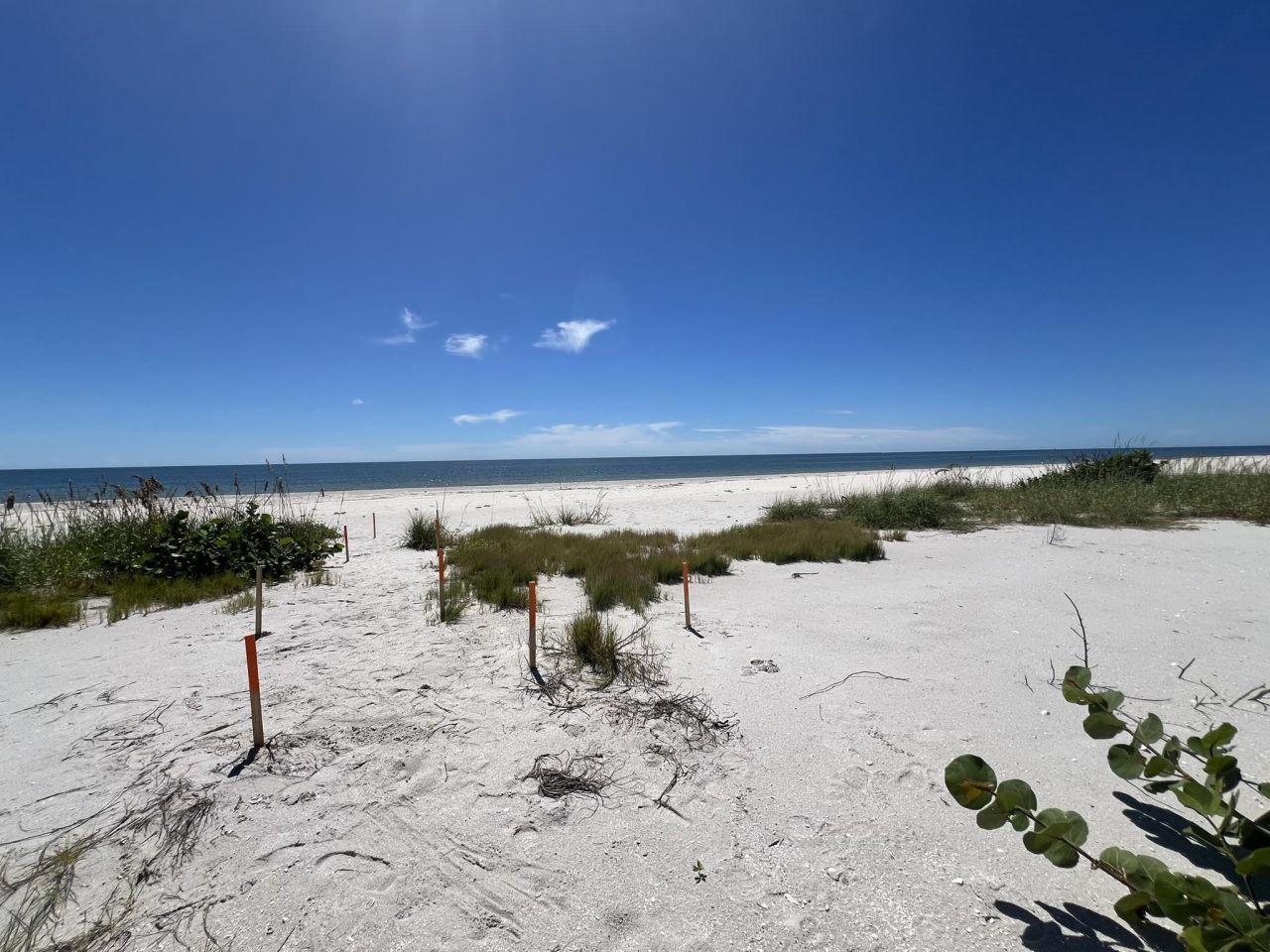 3015 W Gulf Dr, Unit 102, Sanibel, FL 33957 Photo