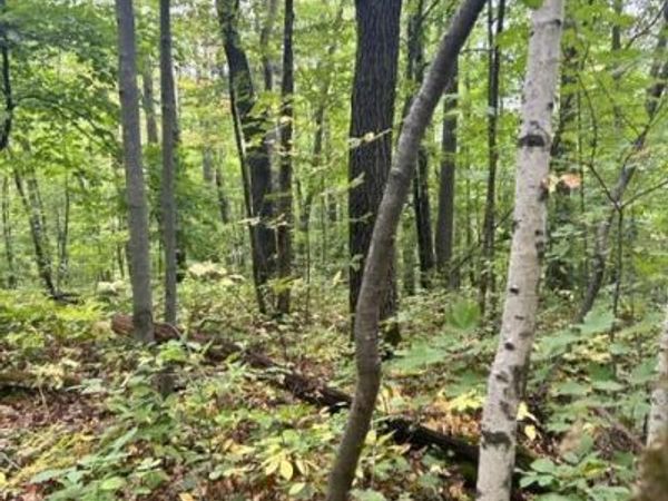 xxx Lost Lake Trl, Cushing, MN 56443