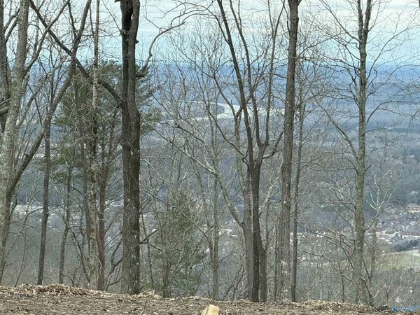 14040 Monte Vedra Road SE, Huntsville, AL 35803