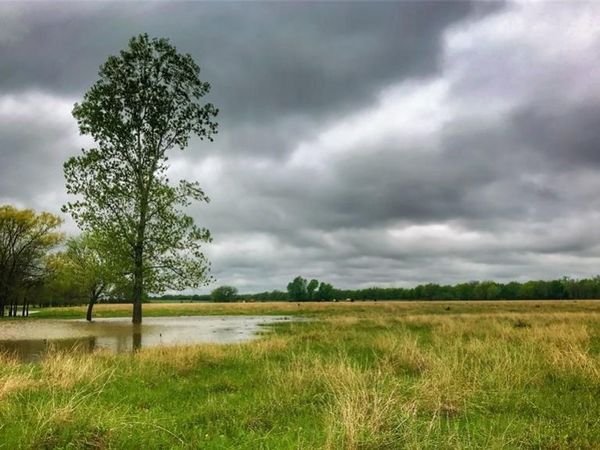 TBD County Road 26701, Petty, TX 75470