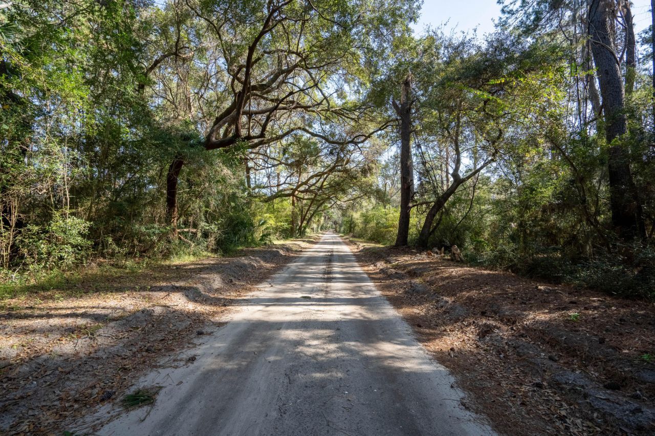 54 Bud Miley Drive Photo 13