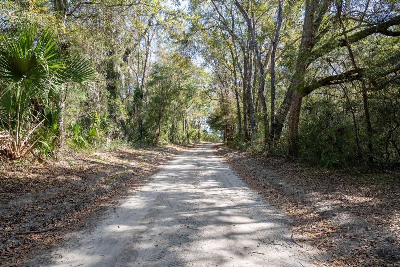 54 Bud Miley Drive Photo 14