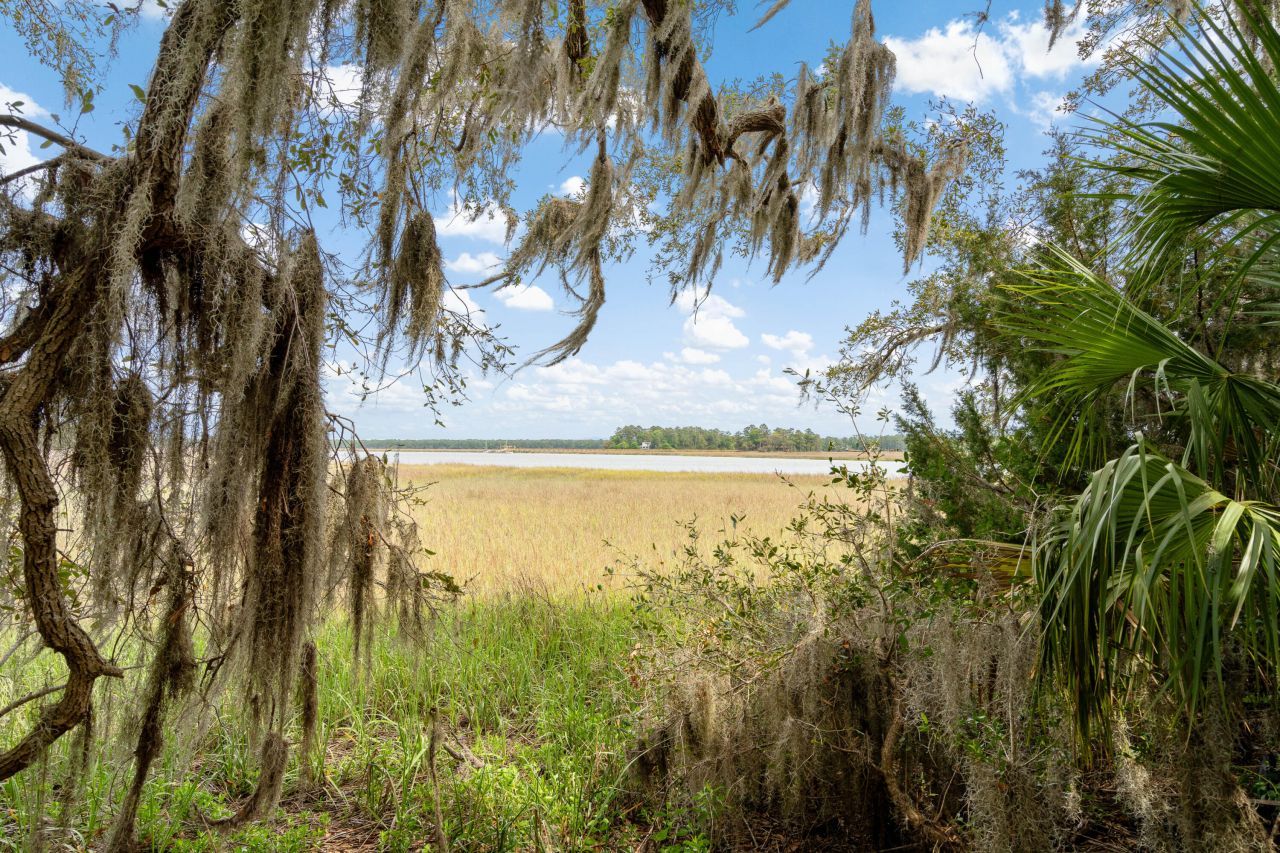 54 Bud Miley Drive Photo 3