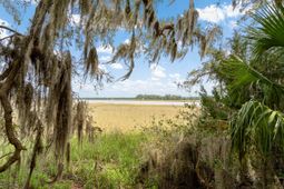 54 Bud Miley Drive photo 4