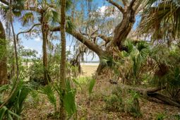 54 Bud Miley Drive photo 4