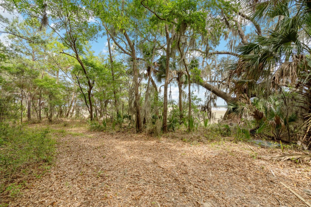 54 Bud Miley Drive Photo 5