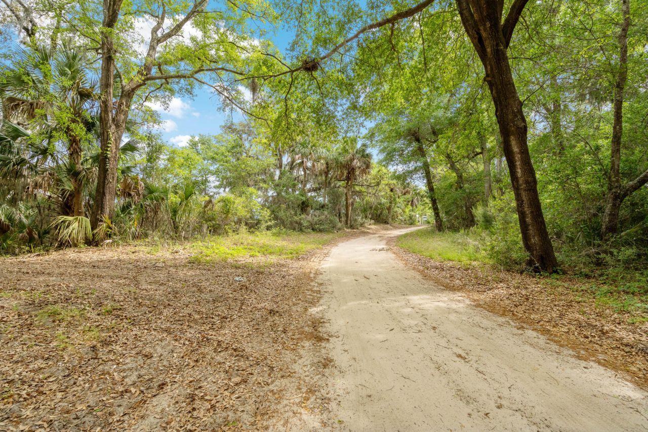 54 Bud Miley Drive Photo 6