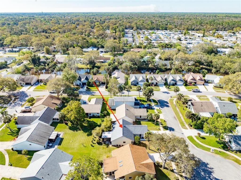 704 Sky Tree Court, New Smyrna Beach, FL 32168 Photo