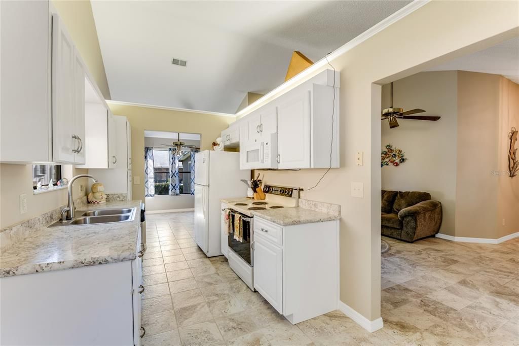 704 Sky Tree Court, New Smyrna Beach, FL 32168 Photo