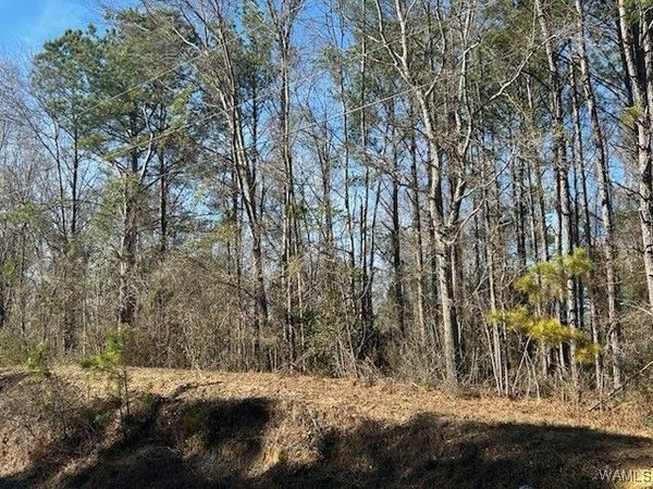 10.03 ac Hwy 82 W/Hwy 86, Gordo, AL 35466