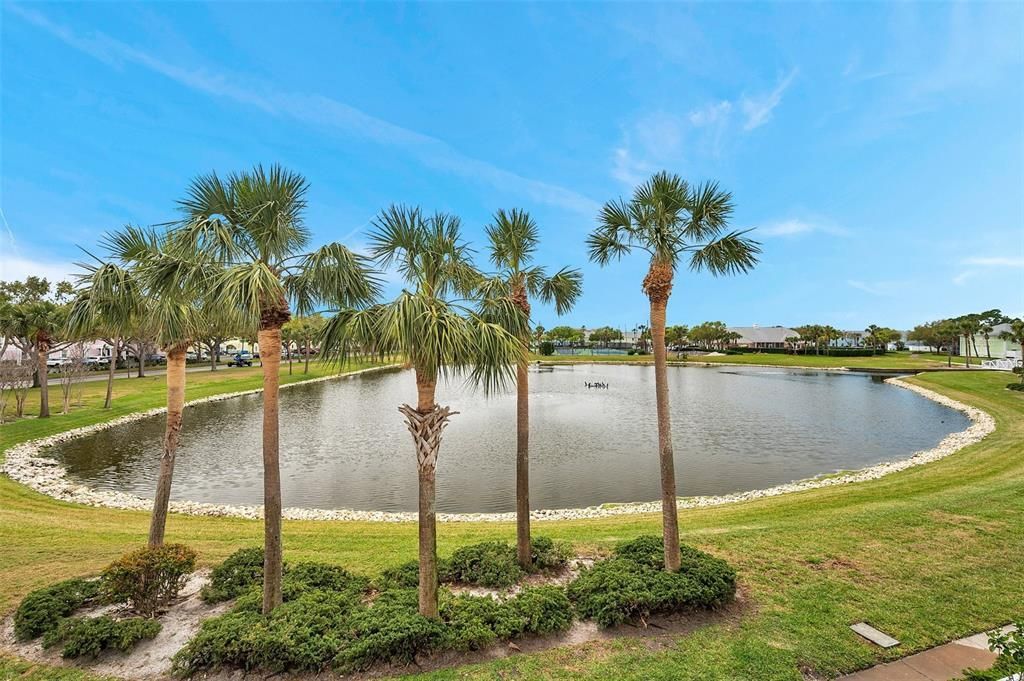 4766 Snook Drive Se, Saint Petersburg, FL 33705 Photo