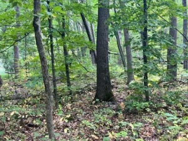 xxx Mallard Dr, Cushing, MN 56443