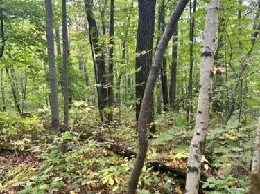 xxx Lake Camile/Lost Lake, Cushing, MN 56443