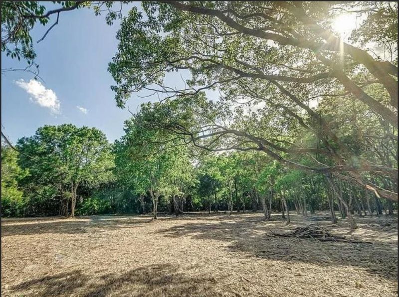 4206 Knights Station Road, Lakeland, FL 33810 Photo