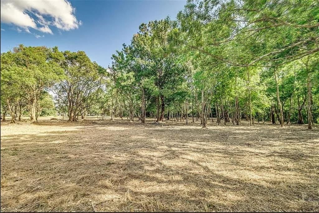 4206 Knights Station Road, Lakeland, FL 33810 Photo