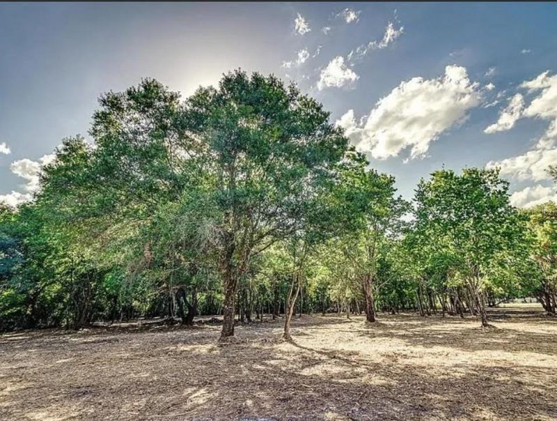 4206 Knights Station Road, Lakeland, FL 33810 Photo