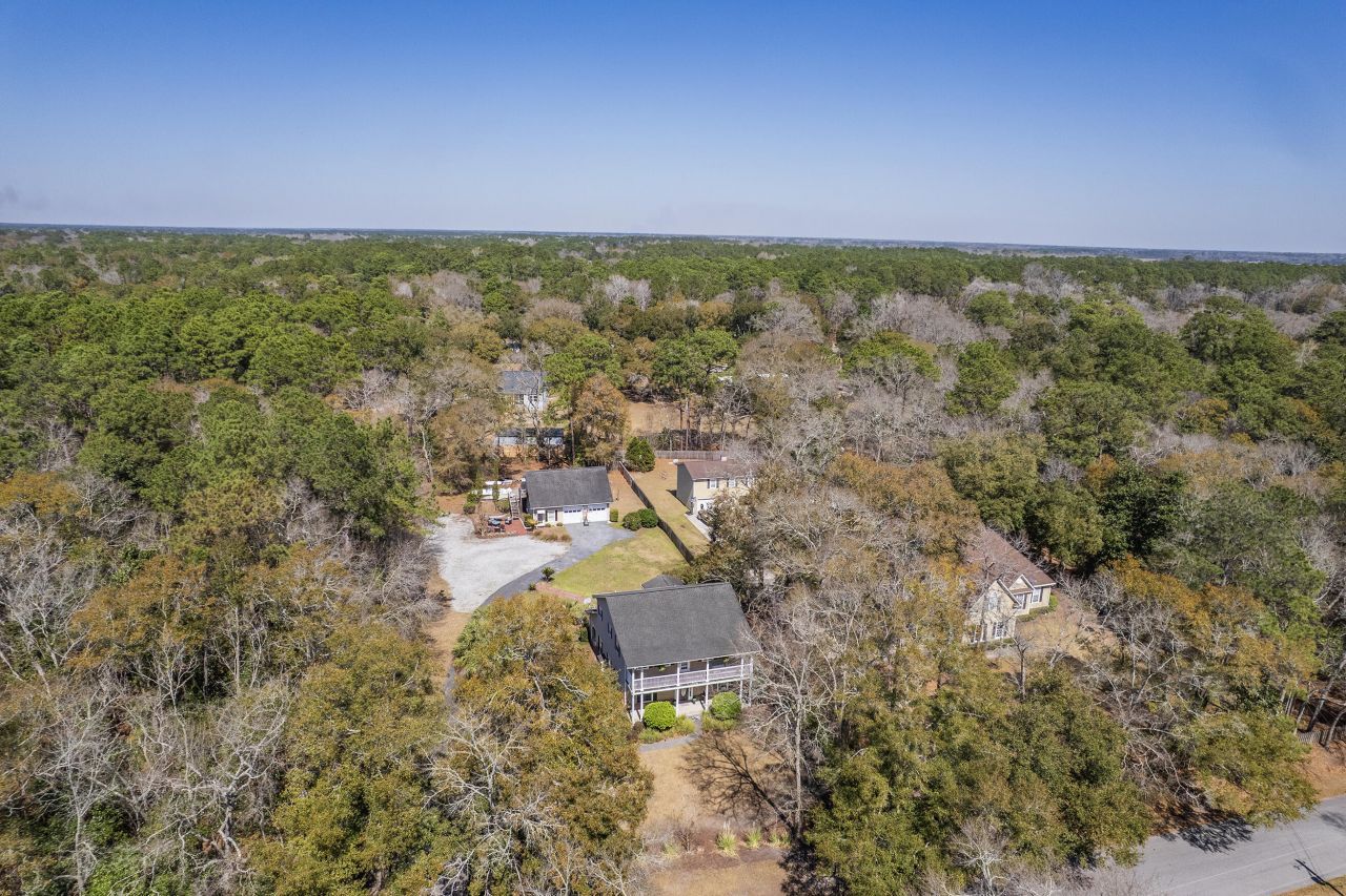 4462 Francis Younge Way Photo 39