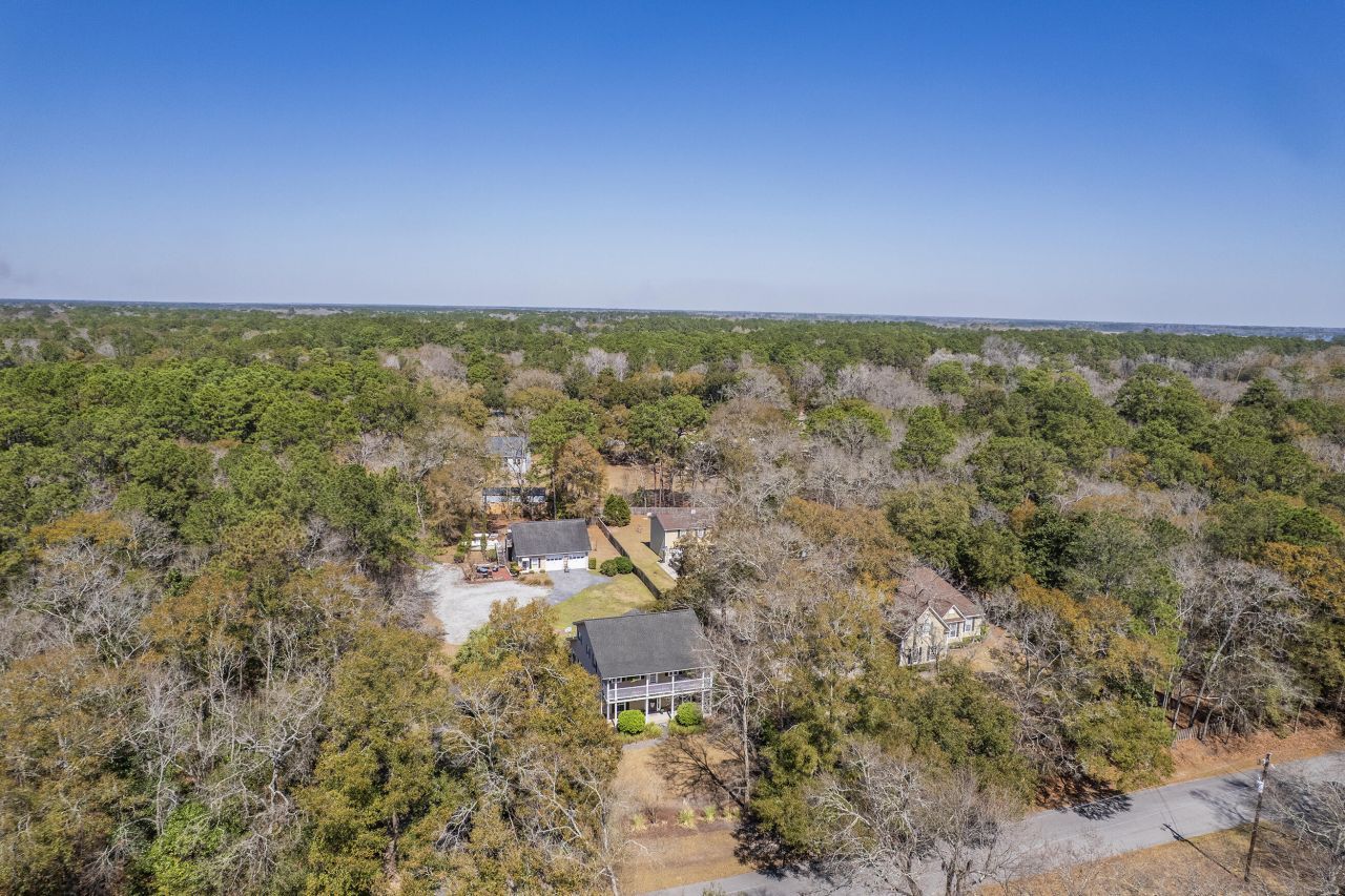 4462 Francis Younge Way Photo 8