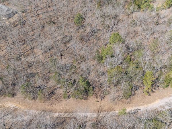 884 Huckleberry Cv, Saulsbury, TN 38067