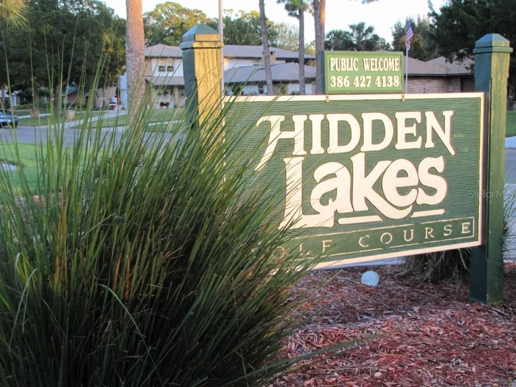 316 Citrus Open Drive, New Smyrna Beach, FL 32168 Photo