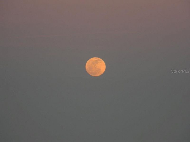 316 Citrus Open Drive, New Smyrna Beach, FL 32168 Photo