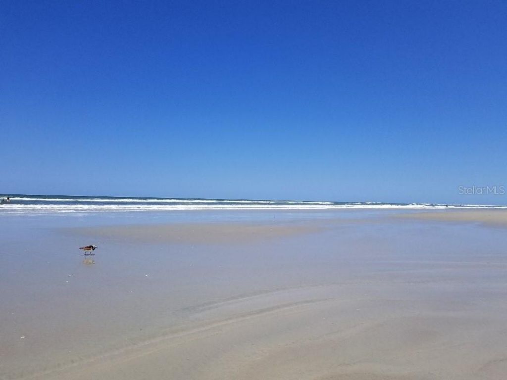 316 Citrus Open Drive, New Smyrna Beach, FL 32168 Photo