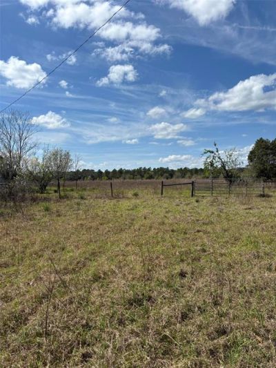 1970 Mcbride Road, Seville, FL 32190 Photo