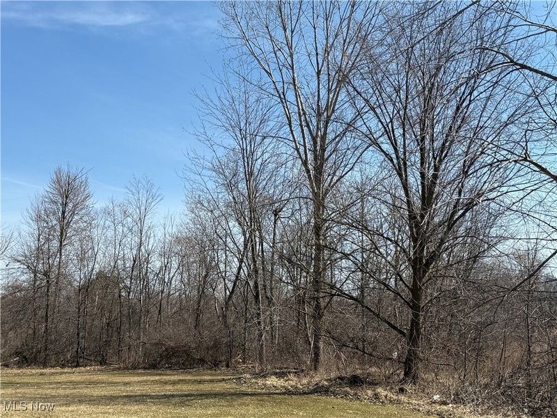 Eastlawn Street, Lorain, OH 44052 Photo 1